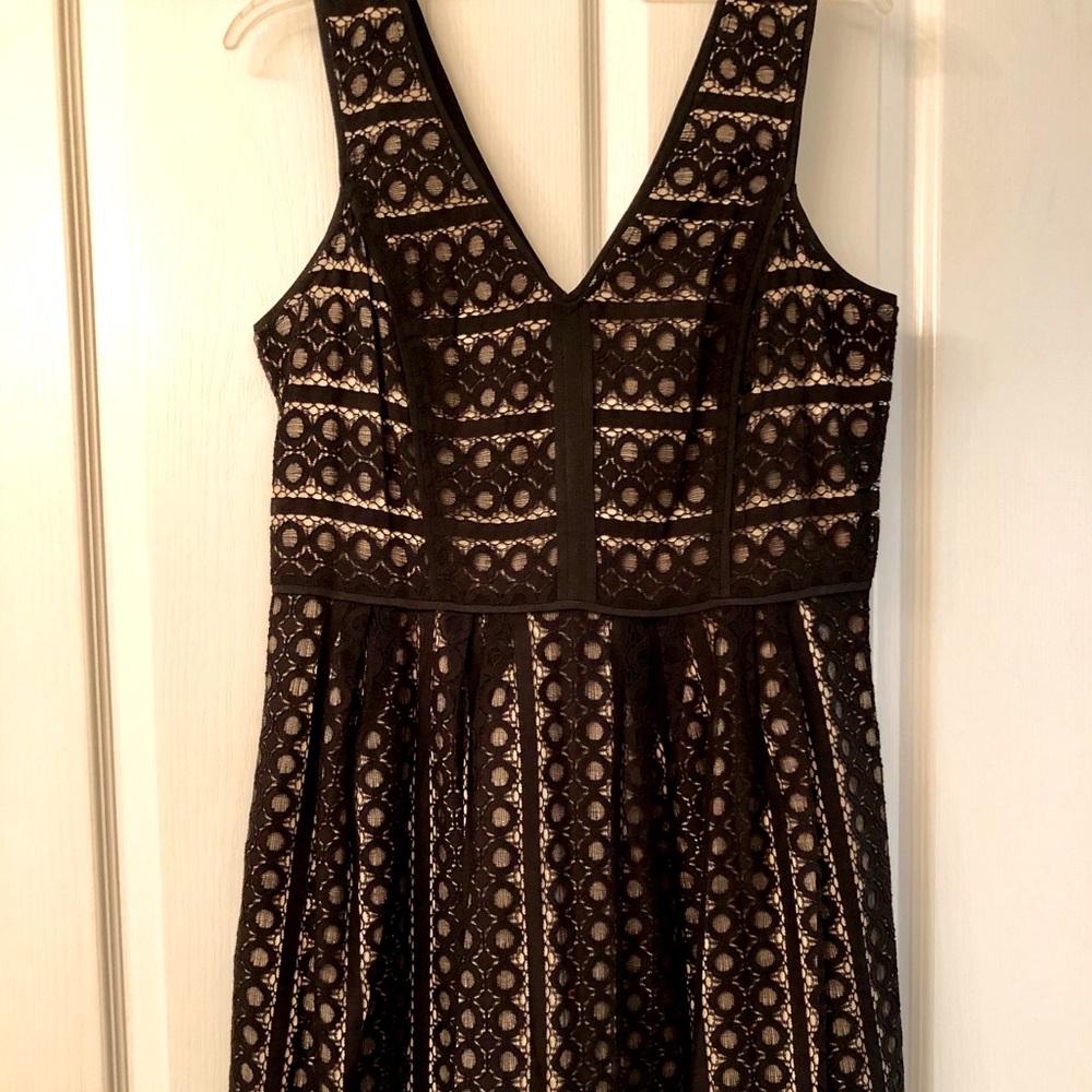 Loft Geo Striped Black Lace A-line Dress